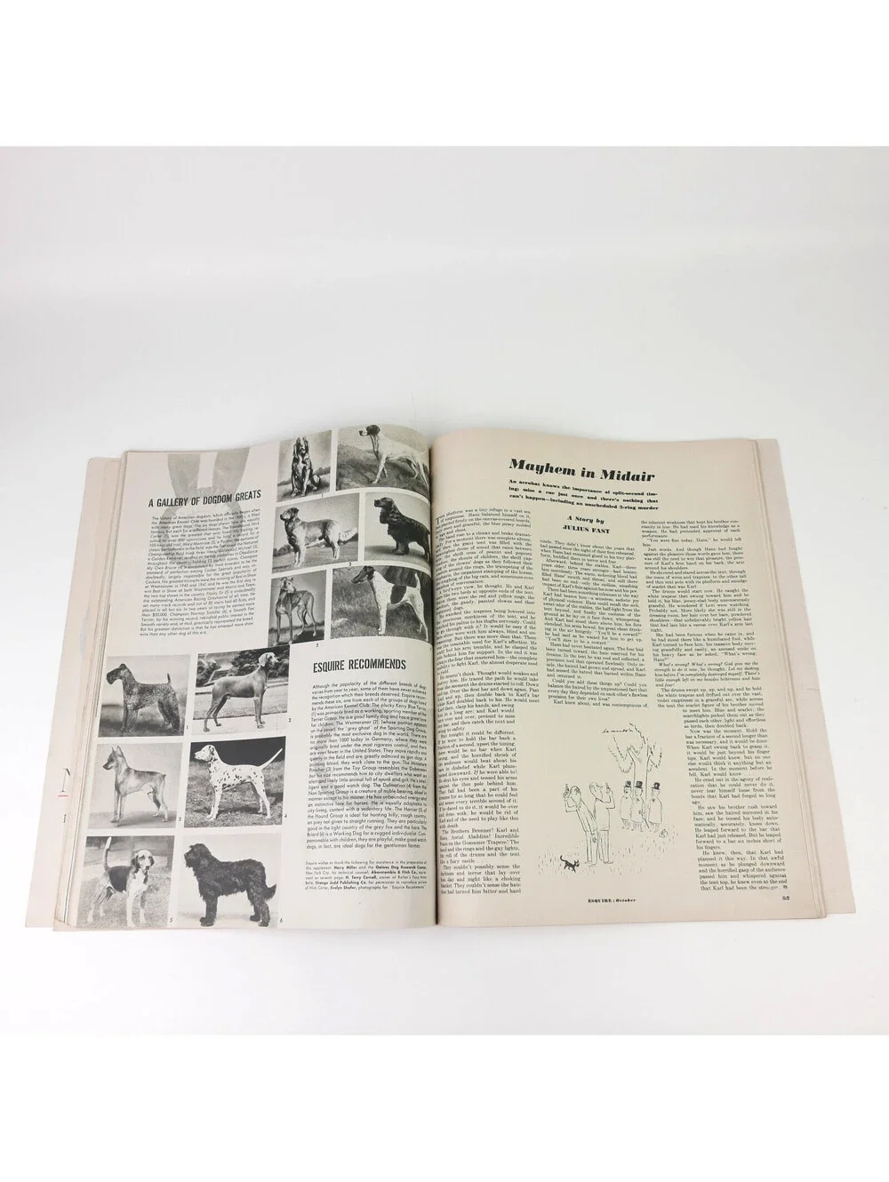 Vintage Esquire Magazine October 1949 AL MOORE Mis-Adventure Gatefold Pinup Girl